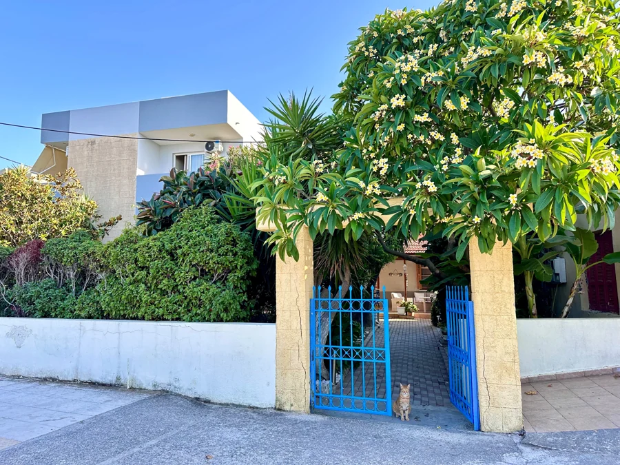 The Surfhouse entrance with a blue gate and flowering garden